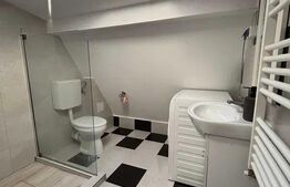 Apartament 2 camere, 47mp, curte, Marasti, Piata Abator