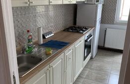 Apartament 2 camere, aer conditionat, pet friendly, zona Marasti