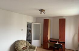 Apartament 2 camere, aer conditionat, pet friendly, zona Marasti