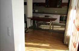 1 camera+nisa de dormit, 65 mp, mobilat modern, zona Plopilor Vest