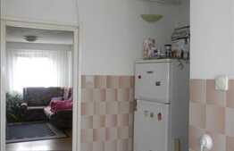 1 camera+nisa de dormit, 65 mp, mobilat modern, zona Plopilor Vest