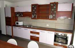 1 camera+nisa de dormit, 65 mp, mobilat modern, zona Plopilor Vest