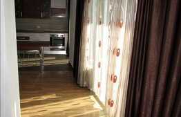 1 camera+nisa de dormit, 65 mp, mobilat modern, zona Plopilor Vest