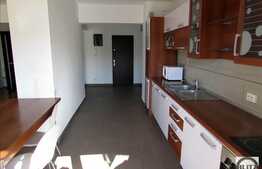 1 camera+nisa de dormit, 65 mp, mobilat modern, zona Plopilor Vest