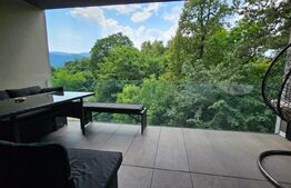 2 Camere de Lux cu Terasă Panoramică – Belveo Residence, Drumul Poienii