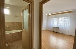 Apartament de vanzare, cu 2 camere, 45 mp, balcon, zona Centrala