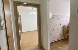 Apartament de vanzare, cu 2 camere, 45 mp, balcon, zona Centrala