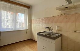 Apartament de vanzare, cu 2 camere, 45 mp, balcon, zona Centrala