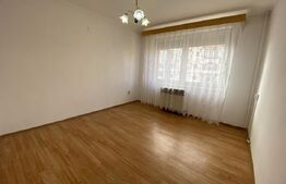 Apartament de vanzare, cu 2 camere, 45 mp, balcon, zona Centrala
