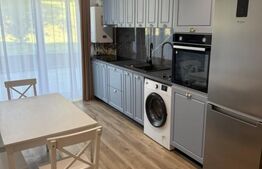 Apartament de vanzare, cu 2 camere, semidecomandat, 44 mp, zona Dambul Rotund