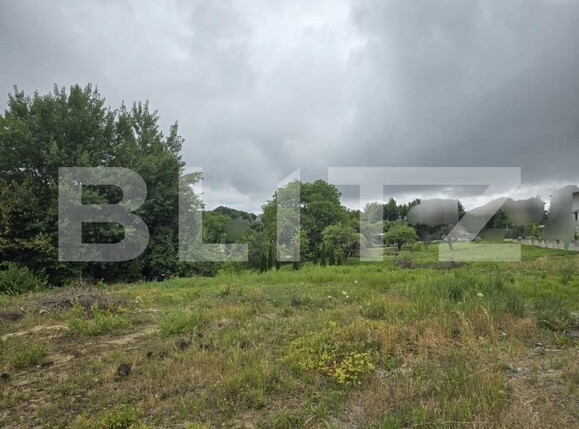 Teren de vânzare Făget - 173949TV | BLITZ Cluj-Napoca | Poza3