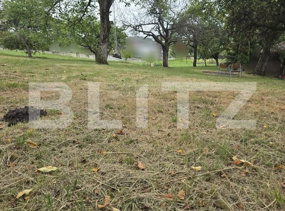 Teren de vânzare Făget - 173949TV | BLITZ Cluj-Napoca | Poza6