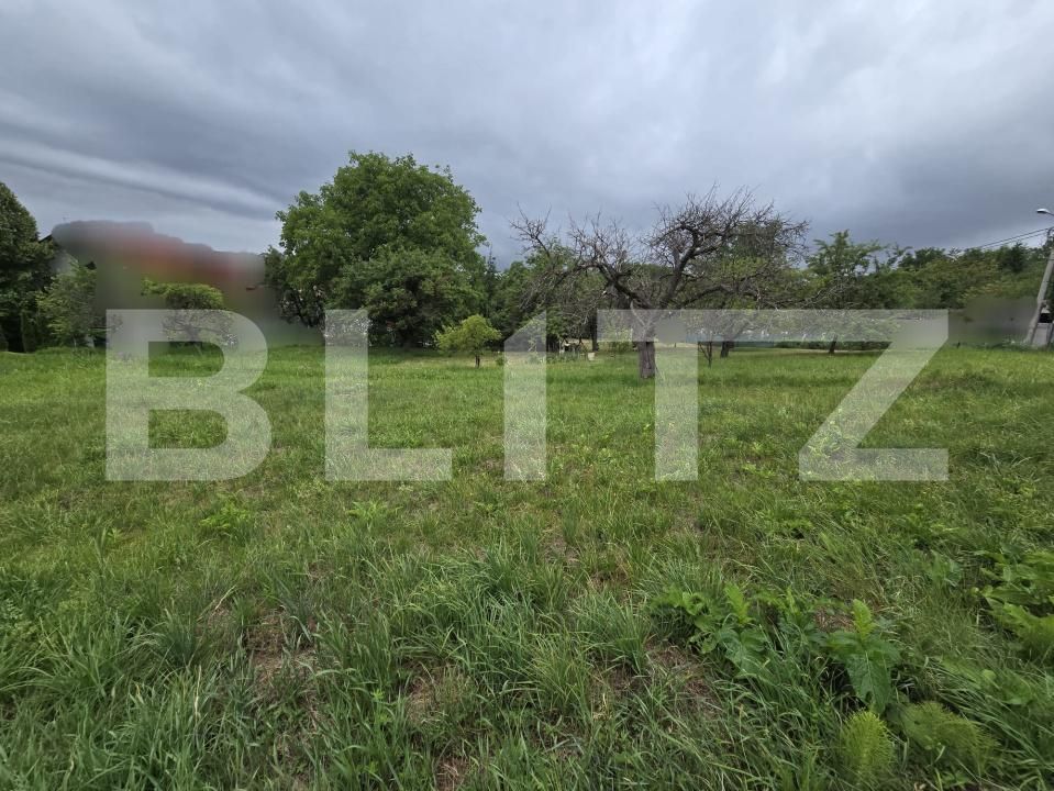 Teren de vânzare Făget - 173949TV | BLITZ Cluj-Napoca | Poza5