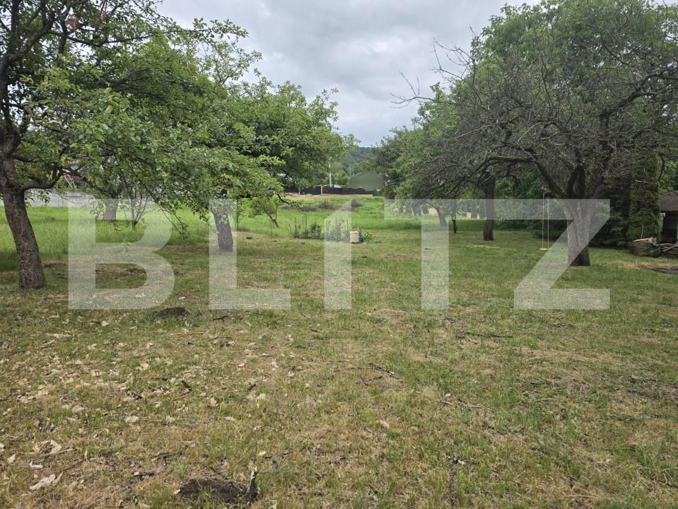 Teren de vânzare Făget - 173949TV | BLITZ Cluj-Napoca | Poza1