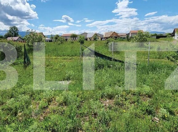 Casa de vânzare 4 camere Tarlungeni - 173965CV | BLITZ Brașov | Poza10