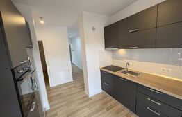 Apartament 2 camere, modern, pet friendly, zona Gării