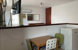 Apartament de inchiriat, cu 1 camera, 42 mp, zona Zorilor