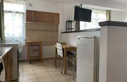 Apartament de inchiriat, cu 1 camera, 42 mp, zona Zorilor