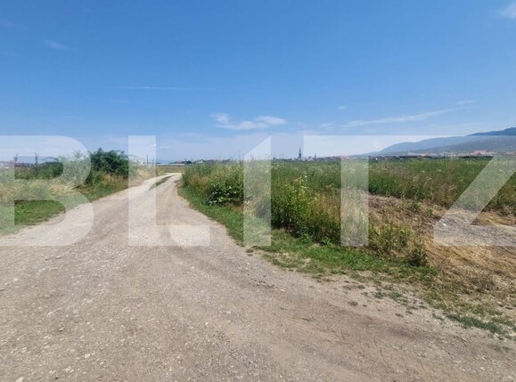 Teren de vânzare Cristian - 174036TV | BLITZ Brașov | Poza8