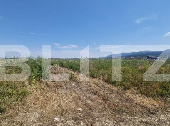 Teren de vânzare Cristian - 174036TV | BLITZ Brașov | Poza2