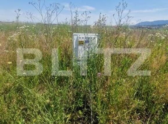 Teren de vânzare Cristian - 174036TV | BLITZ Brașov | Poza1