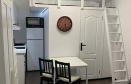 Garsoniera, 20 mp, cu nisa de dormit, zona Piata Unirii