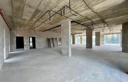 Cladire de birouri, 1400 mp utili, semifinisata in Sannicoara