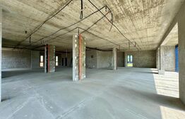 Cladire de birouri, 1400 mp utili, semifinisata in Sannicoara