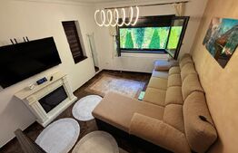 Casa deosebita P+1, foisor mic in curte, Cristian