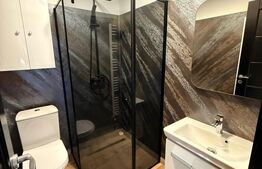 Casa deosebita P+1, foisor mic in curte, Cristian