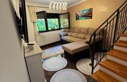 Casa deosebita P+1, foisor mic in curte, Cristian