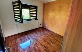 Casa deosebita P+1, foisor mic in curte, Cristian