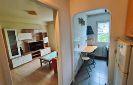 Apartament  2 camere, mobilat, zona Big Manastur