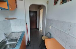 Apartament  2 camere, mobilat, zona Big Manastur