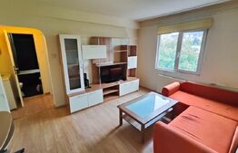 Apartament  2 camere, mobilat, zona Big Manastur