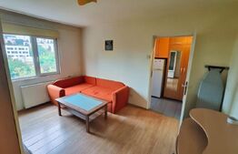 Apartament  2 camere, mobilat, zona Big Manastur