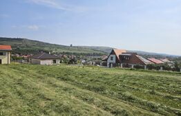 Terenul perfect! 1705 mp, pentru un duplex si o casa individuala, Chinteni!