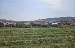 Terenul perfect! 1705 mp, pentru un duplex si o casa individuala, Chinteni!