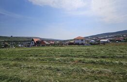 Terenul perfect! 1705 mp, pentru un duplex si o casa individuala, Chinteni!