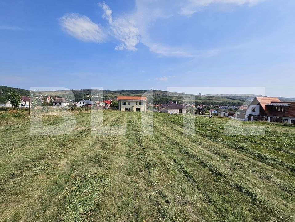 Teren de vânzare Chinteni - 174143TV | BLITZ Cluj-Napoca | Poza3
