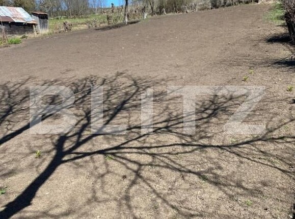 Casa de vânzare 2 camere Tureni - 174201CV | BLITZ Cluj-Napoca | Poza4