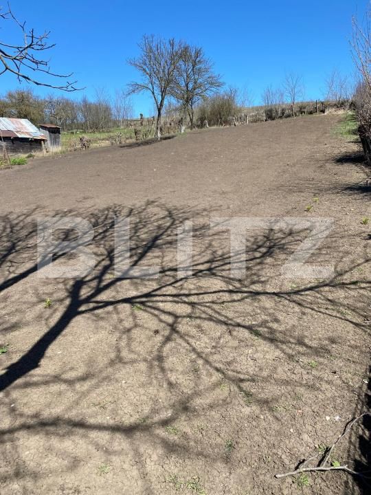 Casa de vânzare 2 camere Tureni - 174201CV | BLITZ Cluj-Napoca | Poza4