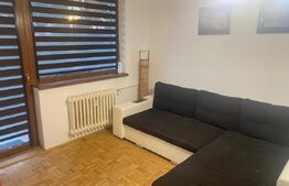 Apartament 2 camere, semidecomandat, pet friendly zona Gheorgheni