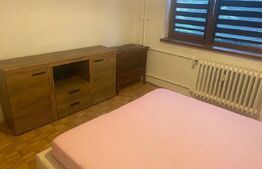 Apartament 2 camere, semidecomandat, pet friendly zona Gheorgheni