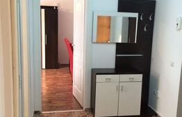Apartament cu 2 camere mobilat si utilat, zona Terra