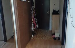 Apartament cu 2 camere mobilat si utilat, zona Stejarului