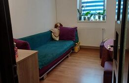 Apartament cu 2 camere mobilat si utilat, zona Stejarului