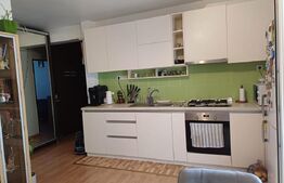 Apartament cu 2 camere mobilat si utilat, zona Stejarului