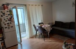 Apartament cu 2 camere mobilat si utilat, zona Stejarului