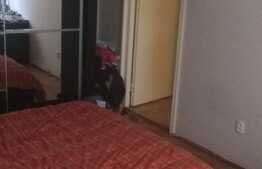 2 camere, 77 mp, decomandat, parcare, garaj, boxa, zona strazii Republicii